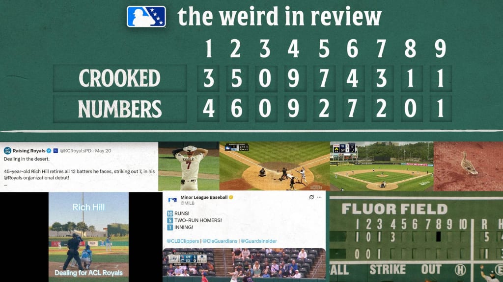 You've GOT to see these wacky plays from around the Minors